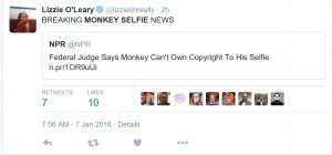 breaking selfie news