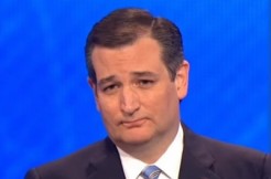 ted cruz, via ABC screengrab