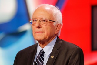 Bernie