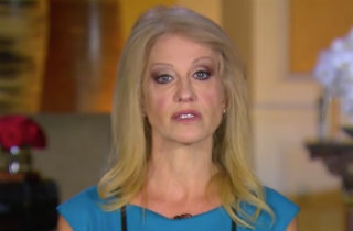 Kellyanne Conway (ABC News screen grab)