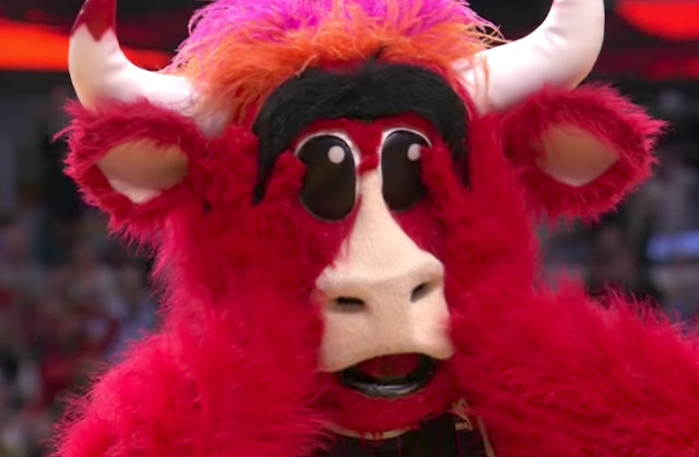 Chicago Bulls Benny The Red Bull Mascot Costumes Animal