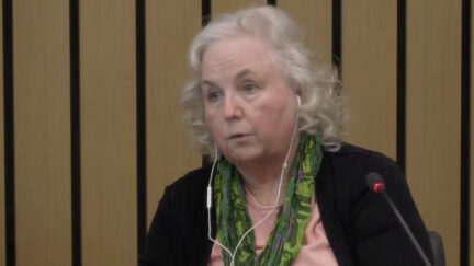Nancy Crampton-Brophy testifies
