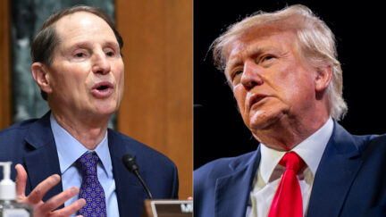 Ron Wyden and Donald Trump