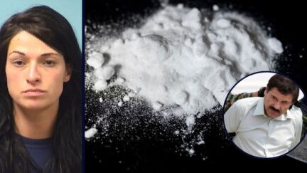 Left: Deanna Gerads booking photo Stearns County Jail 2018. / Alkaloid substance as cocaine white powder lines with Euro notes is seen in this photo illustration. On 9 August 2023 in Brussels, Belgium. (Photo illustration by Jonathan Raa/NurPhoto via AP)/Inset: This Feb. 22, 2014 file photo shows Joaquin 