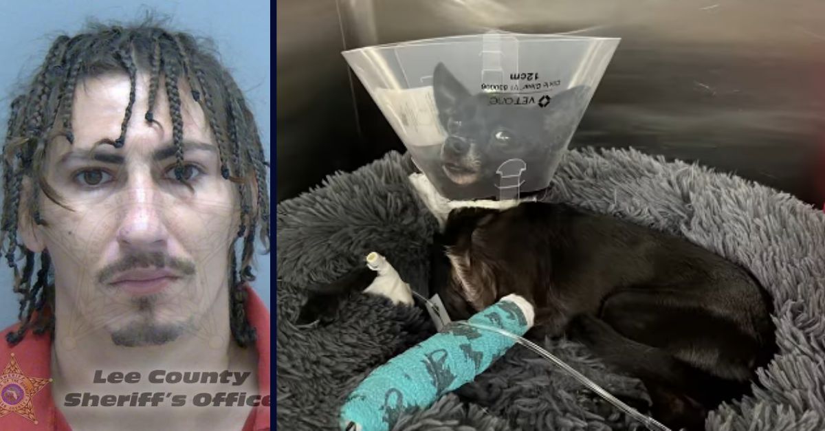 Dalton Sousa and Raven