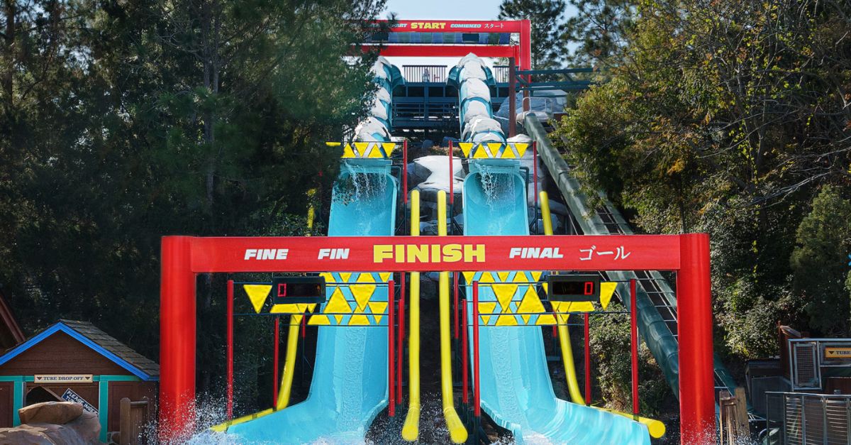 Disney Downhill Double Dipper