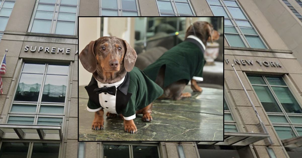 Judge says dogs count as "immediate family"