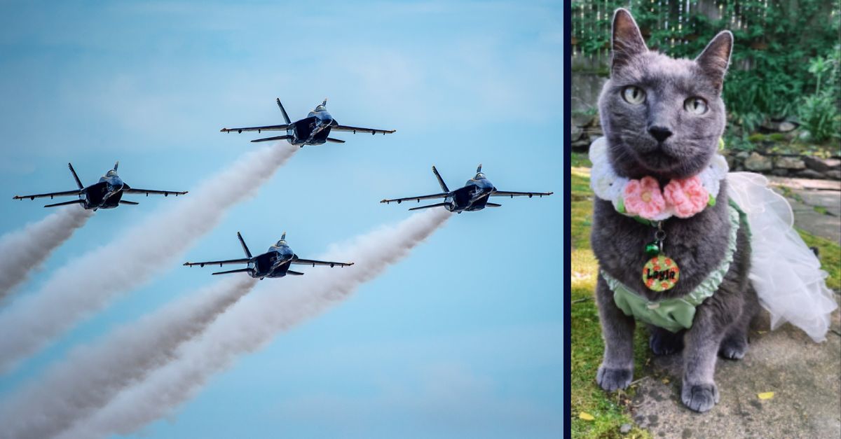 Blue Angels and Layla