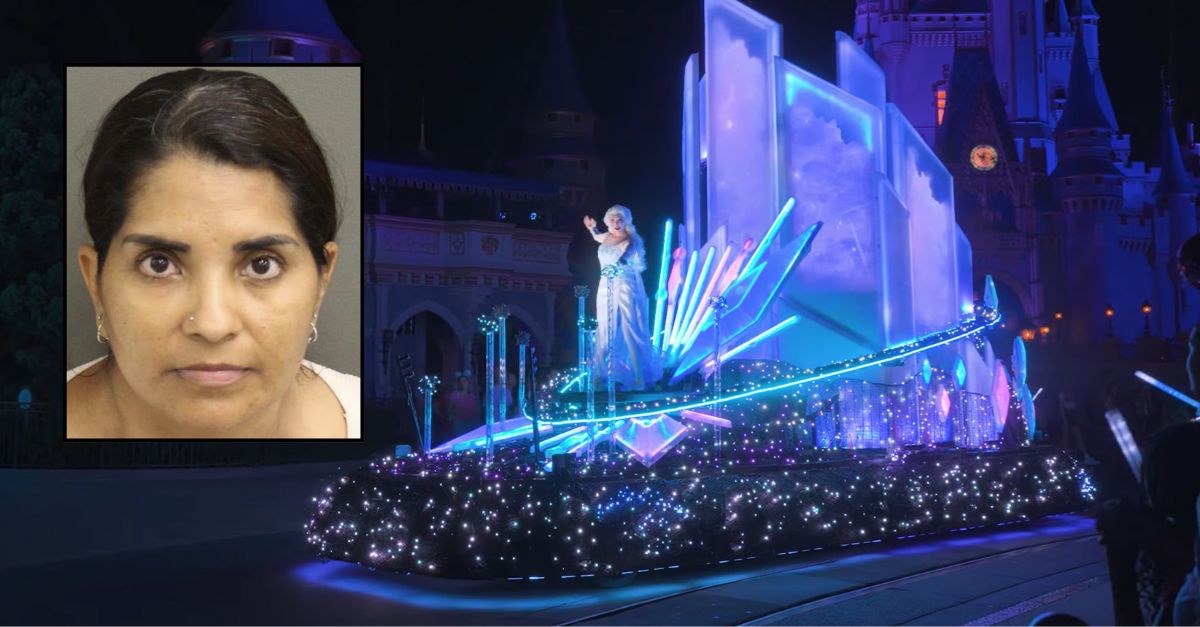 Tourist arrested during parade scuffle at Disney World