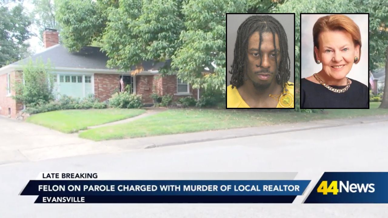 Man who strangled 75-year-old realtor to death and left her in the basement of her home pleads guilty