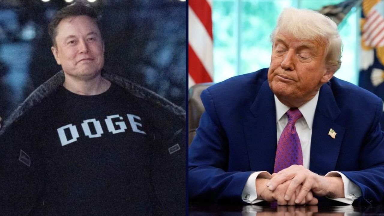 Elon Musk on the left. Donald Trump on the right.